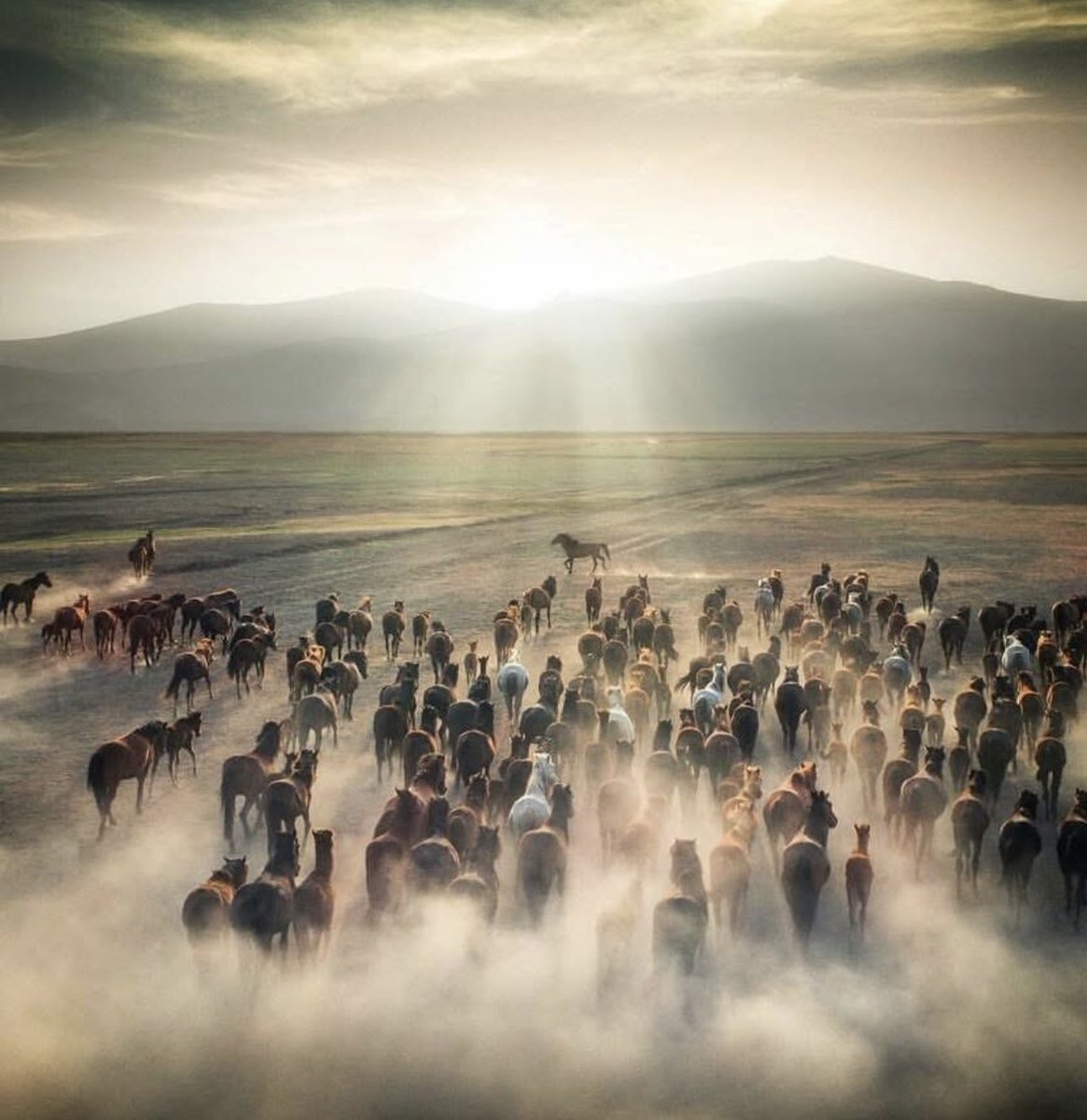 Өглөөний мэнд 2025.06.21
Амралтын өдрөө ая тухтай өнгөрүүлээрэй