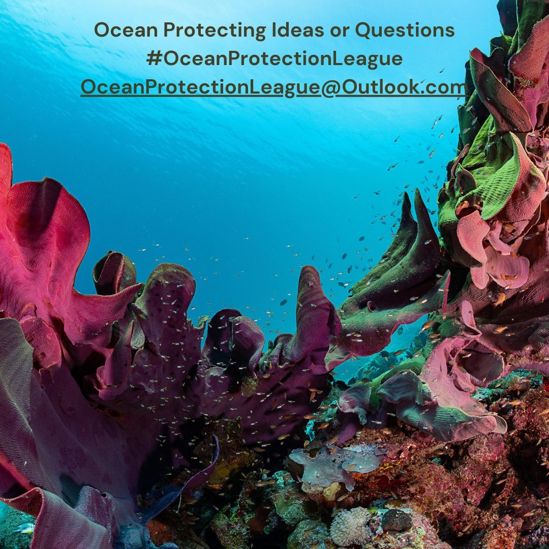 OceanProtectionLeague tweet media