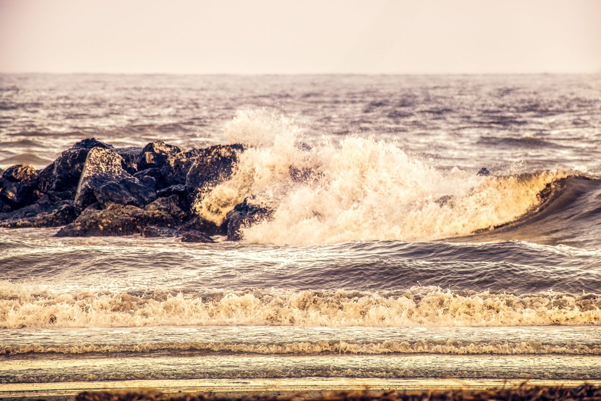 Vivida 🌻 (@vividaphotopc) on Twitter photo 