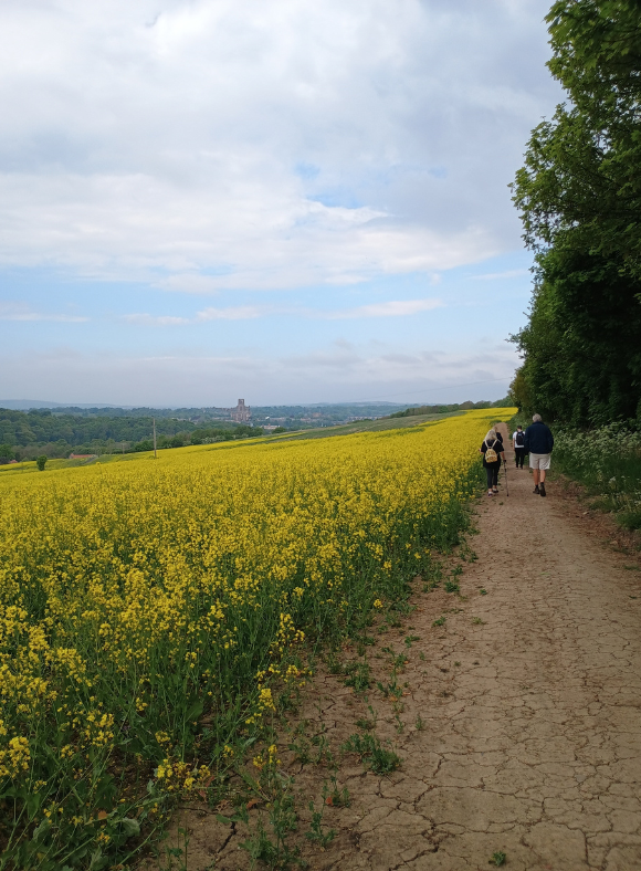 Our <a href="/NorthLearnTrust/">Northern Learning Trust</a> Peer Support Worker, Bev Charlton, hosts a wellbeing walk every Monday. 💜

Want to come along? Join the group every Monday at Pelaw View Centre (DH1 2EH), at 10am. 

Contact Bev on bcharlton@northernlearningtrust.org.uk or 07918627760 for more information.