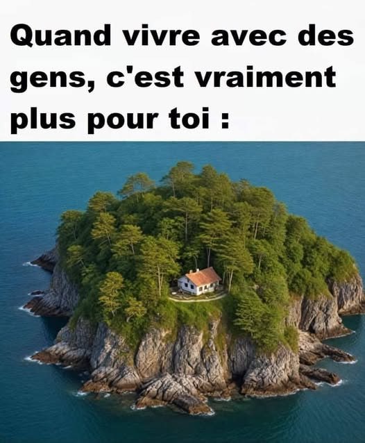Nadine Touzeau Profiler Officiel (@ntprofiler) on Twitter photo 