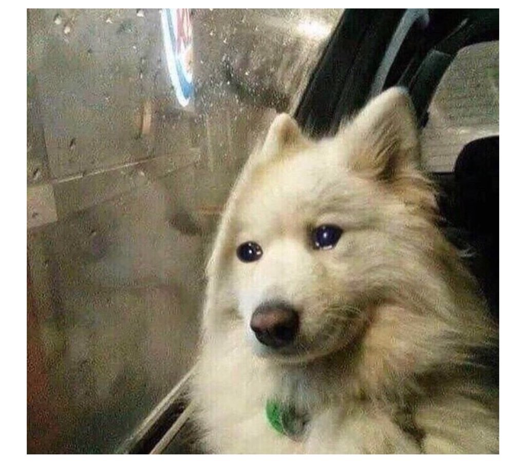 seeing lesbians in healthy loving relationships and waiting for my turn