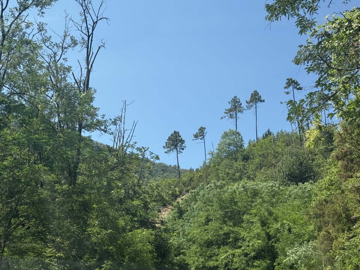 russellcrowe's tweet image. Where am I now ?