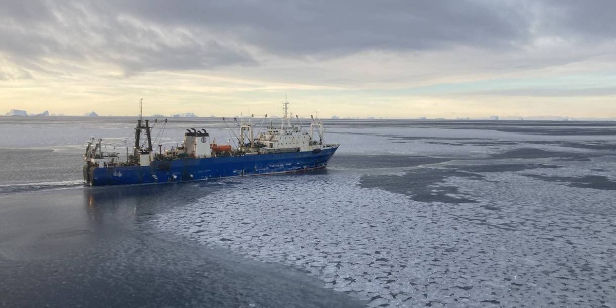 Antarctica huge factory ships many from China and elsewhere are scooping up vast amounts of krill that whales, seals and penguins feed on
Krill are also critical in sequestering carbon and slowing global warming 
awi.de/en/about-us/se…
