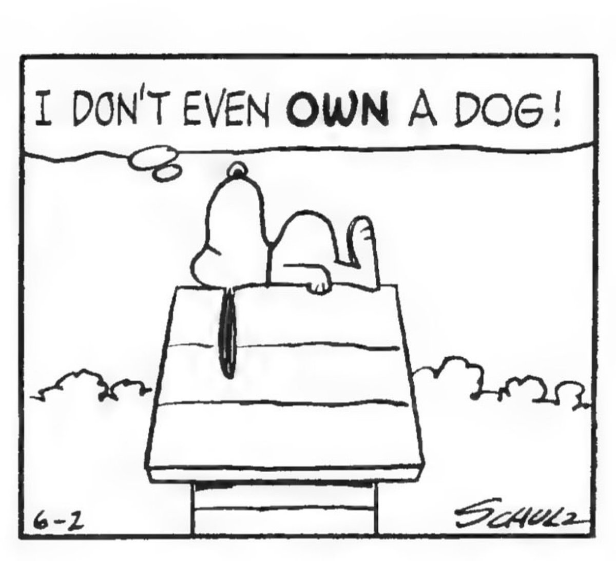 DailySnoopys's tweet photo. https://t.co/q5lBNC2DS1