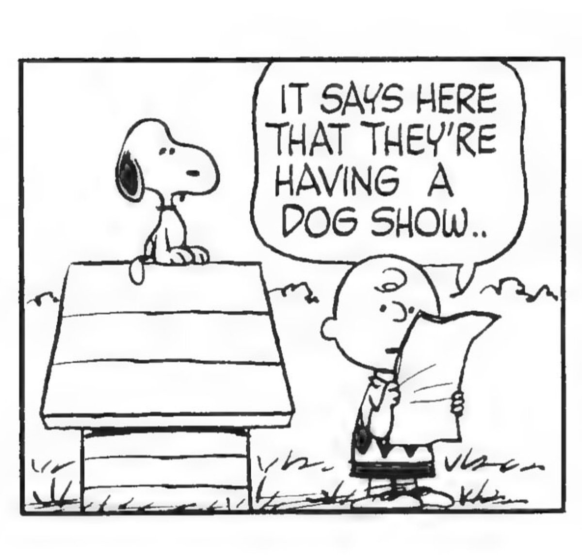 DailySnoopys's tweet photo. https://t.co/q5lBNC2DS1