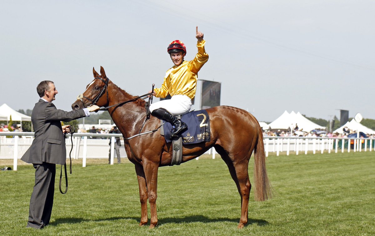 Classic performer and now a Group 1 Royal Ascot winner!

CERCENE is electric in the Coronation Stakes at Royal Ascot, becoming the latest Group 1 winner for <a href="/coolmorestud/">Coolmore</a>’s Australia 🏆 

A fantastic result for the Joseph G Murphy team - huge congratulations to all her