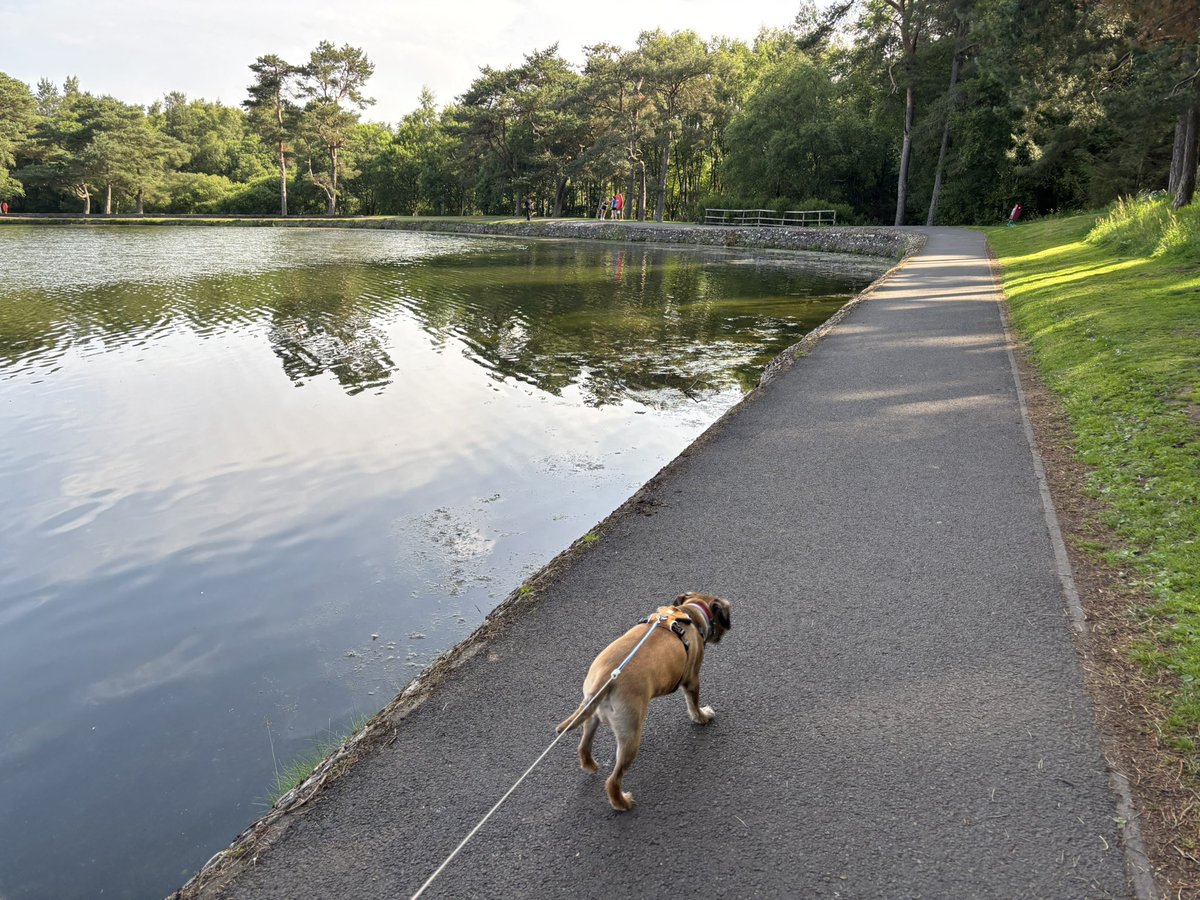 Little walk round Lanark loch it was a beautiful morning