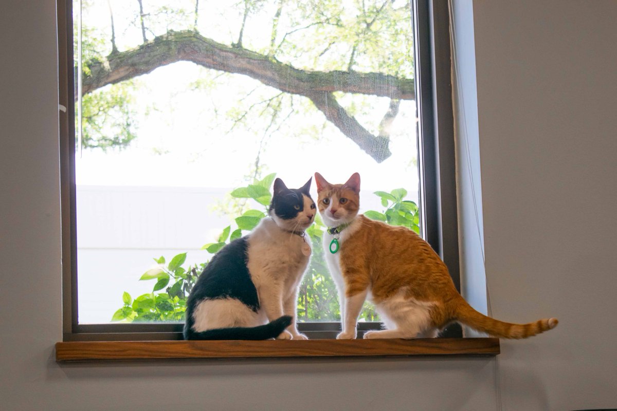 Advanced Technology Services (ATS) tweet media