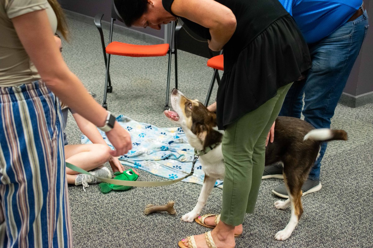 Advanced Technology Services (ATS) tweet media