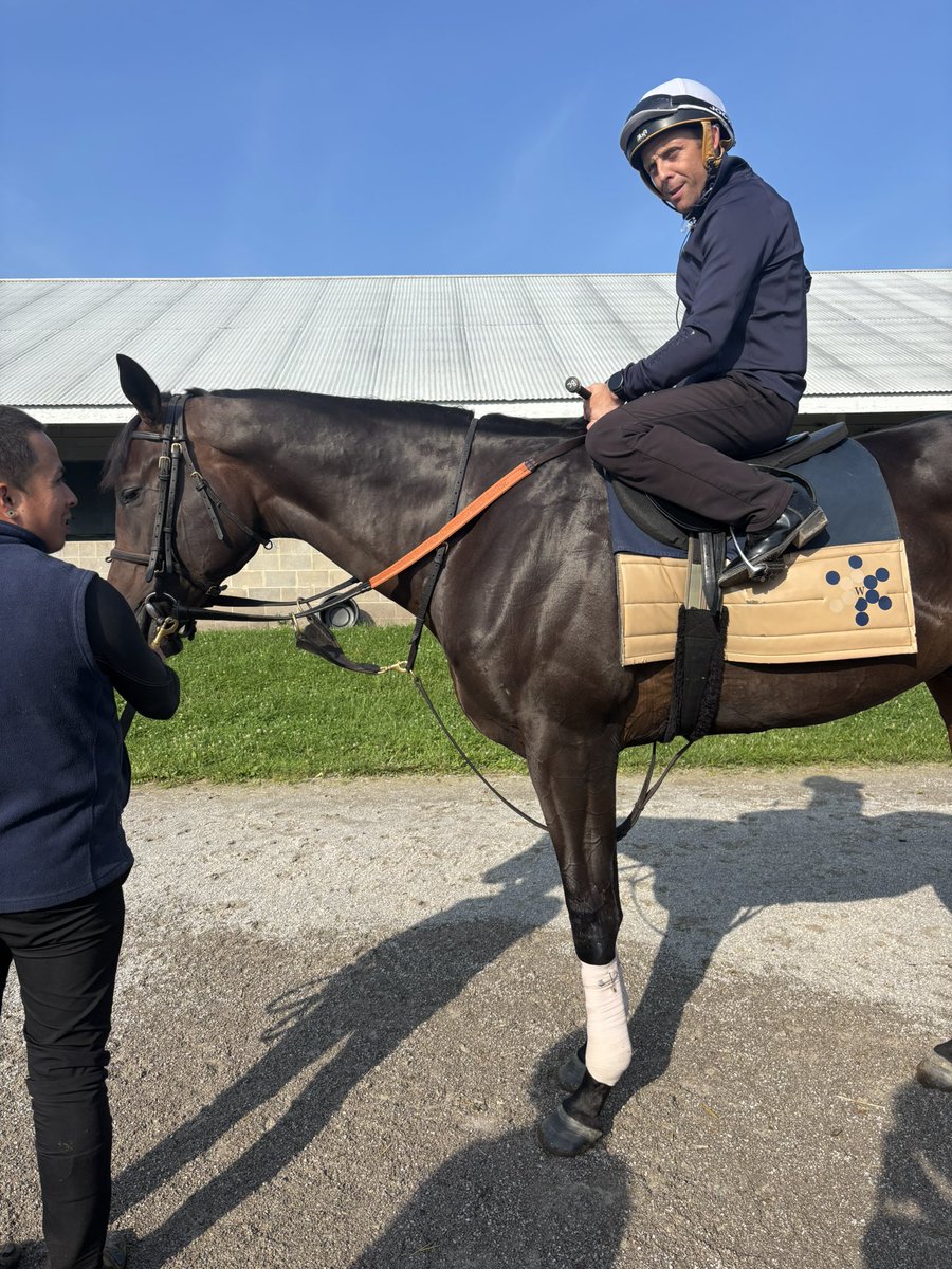 Exciting Morning <a href="/keeneland/">Keeneland</a> seeing <a href="/_benacurtis/">Ben Curtis</a> partner with Hero Declared for his breeze  #IconRacing #BeckmanRacingStable