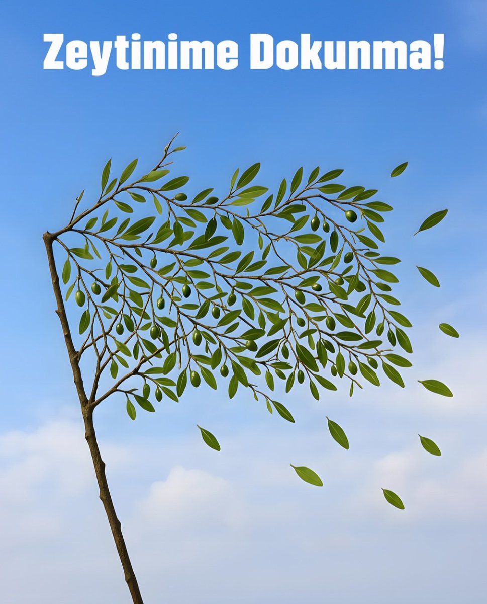 Doğa er geç intikamını alır, sonsuzluk ağacı,hayat ağacımız #ZeytinimeDokunma
