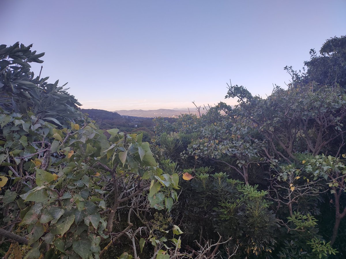 Gail Warrander tweet media