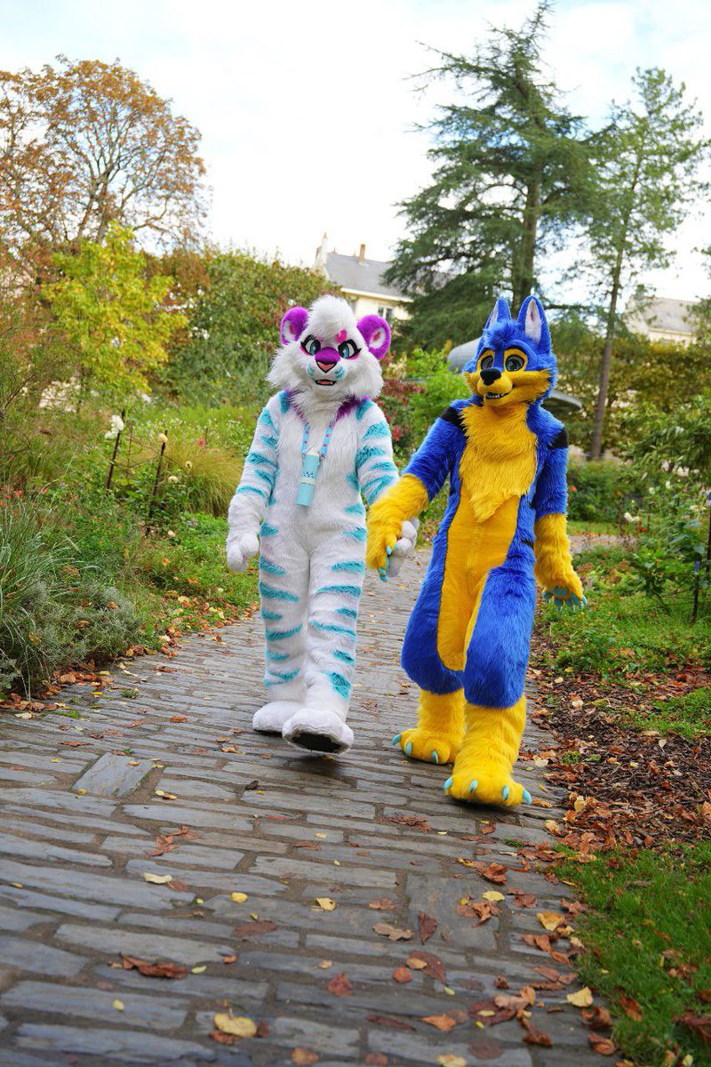Teezik_Wolf's tweet image. On our way to #japantoursfestival (next weekend) with @WildShineTiger for this #fursuitfriday 🥰💙

📷 @Pitou_Rikou (edit Wildshine)

#furry #fursuit #frenchfurs #frenchfursuiter