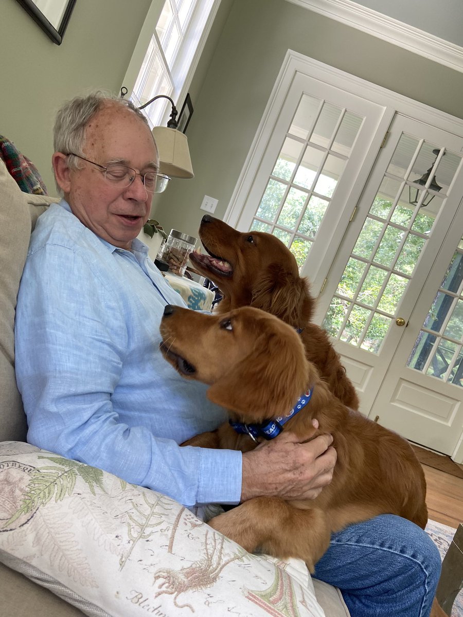 MACquotes's tweet image. Rob is home and suddenly everything is right in their world . Lord and Lady looking smashing in their new ReadingFC collars . @RCouhig @ReadingFC #Uptheding