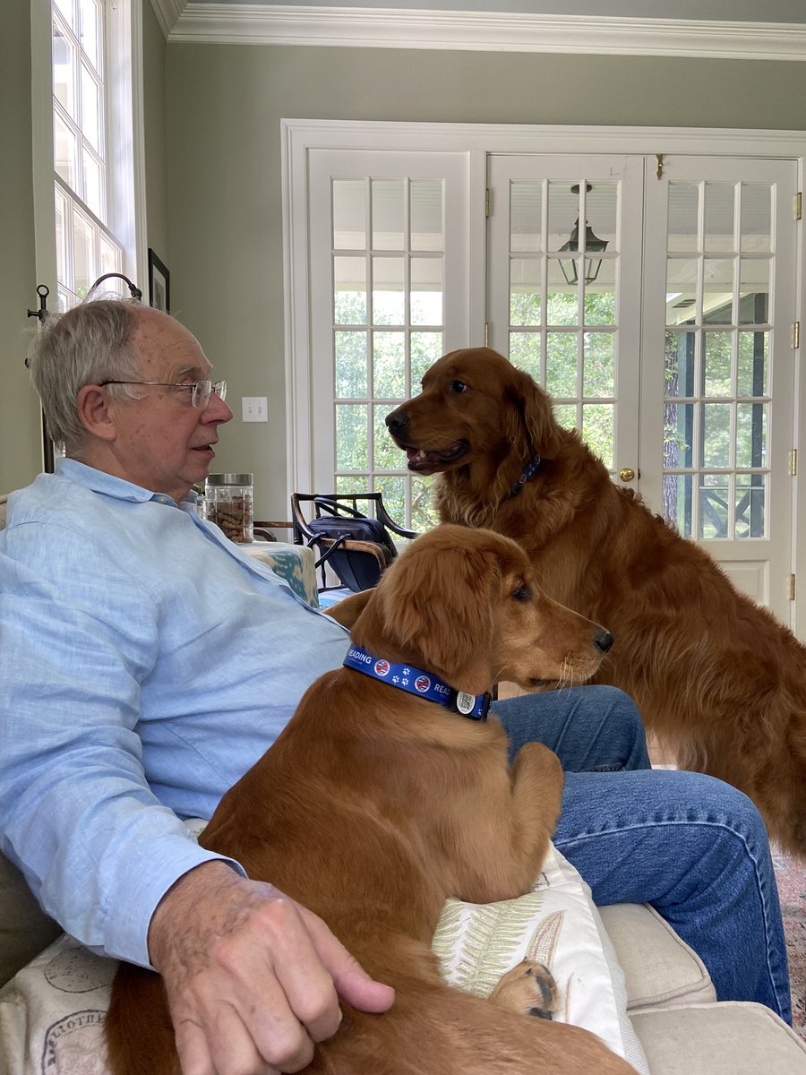 MACquotes's tweet image. Rob is home and suddenly everything is right in their world . Lord and Lady looking smashing in their new ReadingFC collars . @RCouhig @ReadingFC #Uptheding