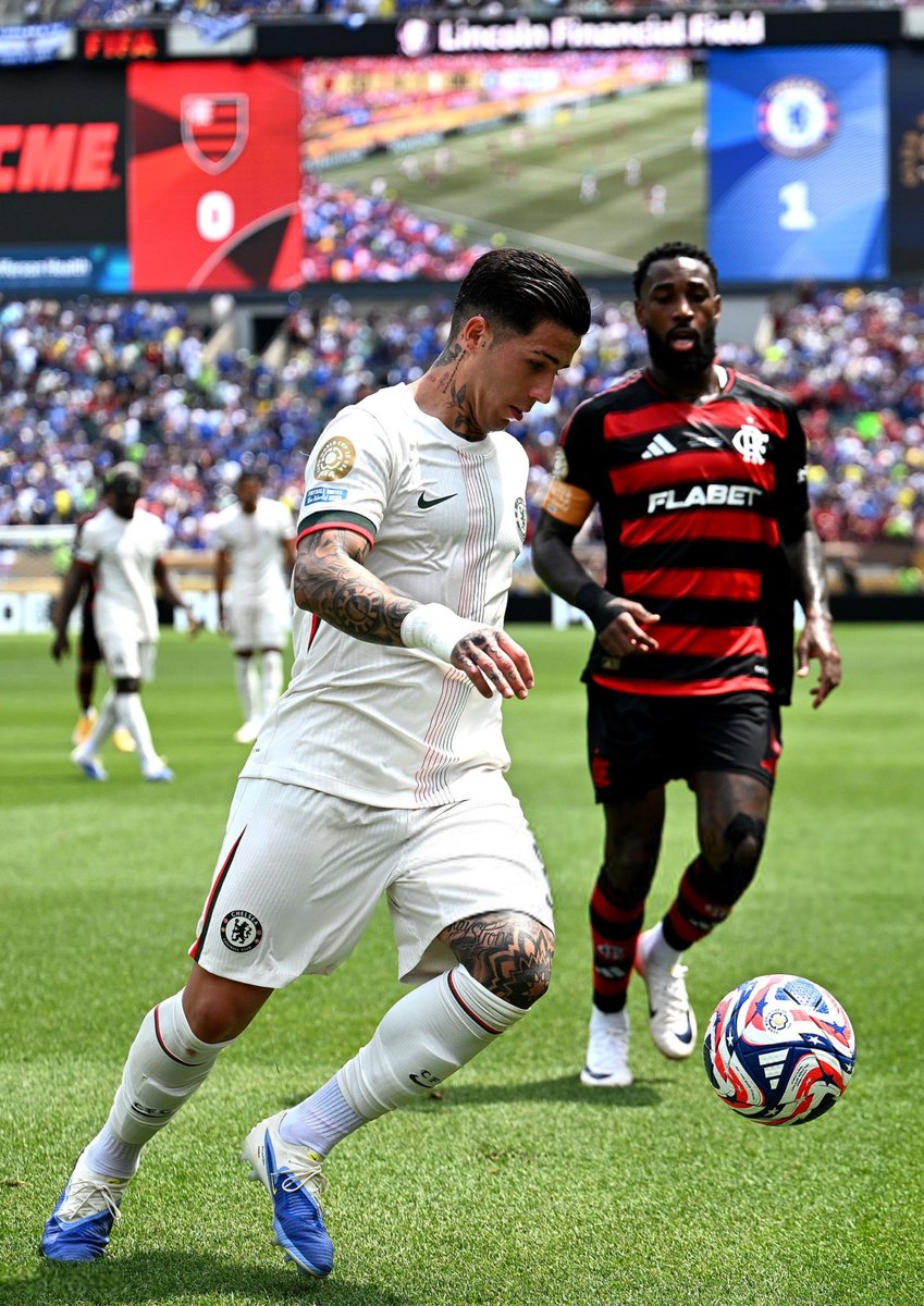 Enzo Fernandez 🤍
