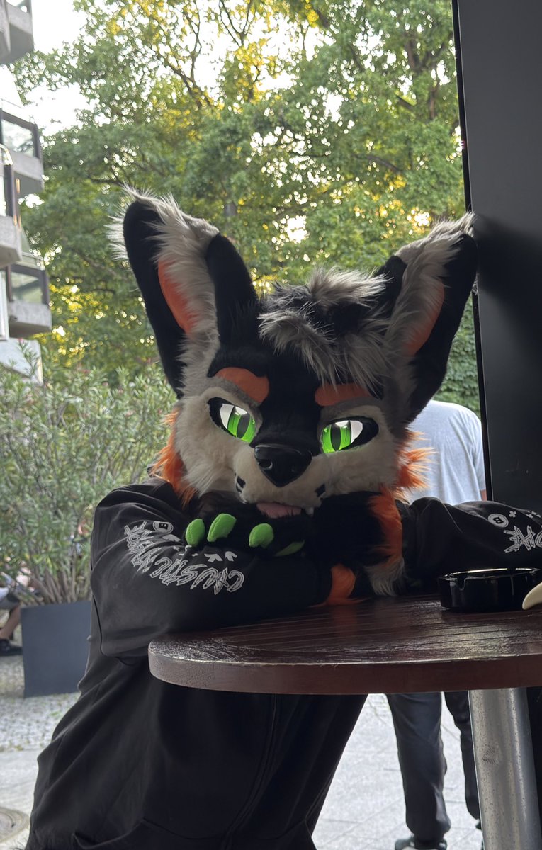 Time for that birthday boio to post some fursuit pics on this #FursuitFriday
