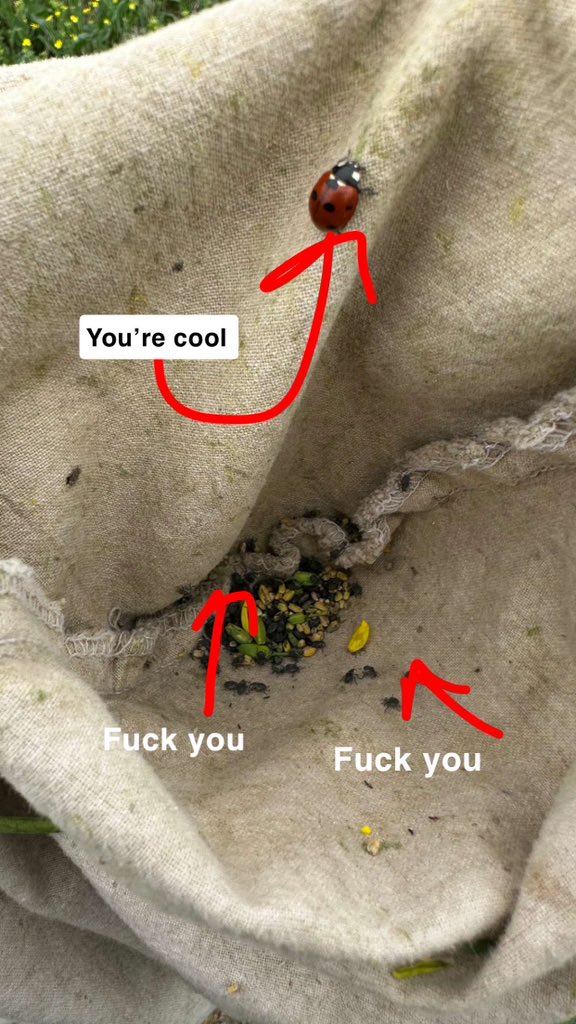 Katie Carefoot tweet media