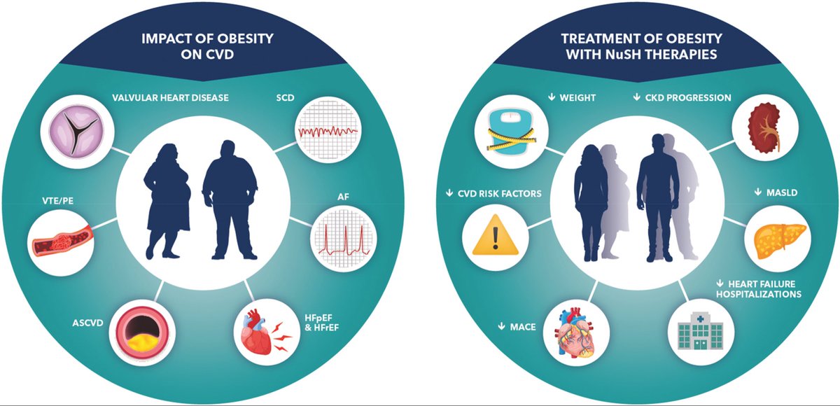 Harpreet Bhatia (@hsbhatia) on Twitter photo This is an amazing, concise review on weight management for cardiovascular disease. Congrats to everyone involved!
<a href="/DrMarthaGulati/">Dr. Martha Gulati ♥️🫀❤️🩹🇨🇦</a> <a href="/MKIttlesonMD/">Michelle Kittleson MD PhD</a> <a href="/RishiRikhiMD/">Rishi Rikhi, MD🌱MS</a> <a href="/BevTchangMD/">Beverly G. Tchang, MD</a> <a href="/JACCJournals/">JACC Journals</a>
jacc.org/doi/10.1016/j.… This is an amazing, concise review on weight management for cardiovascular disease. Congrats to everyone involved!
<a href="/DrMarthaGulati/">Dr. Martha Gulati ♥️🫀❤️🩹🇨🇦</a> <a href="/MKIttlesonMD/">Michelle Kittleson MD PhD</a> <a href="/RishiRikhiMD/">Rishi Rikhi, MD🌱MS</a> <a href="/BevTchangMD/">Beverly G. Tchang, MD</a> <a href="/JACCJournals/">JACC Journals</a>
jacc.org/doi/10.1016/j.…
