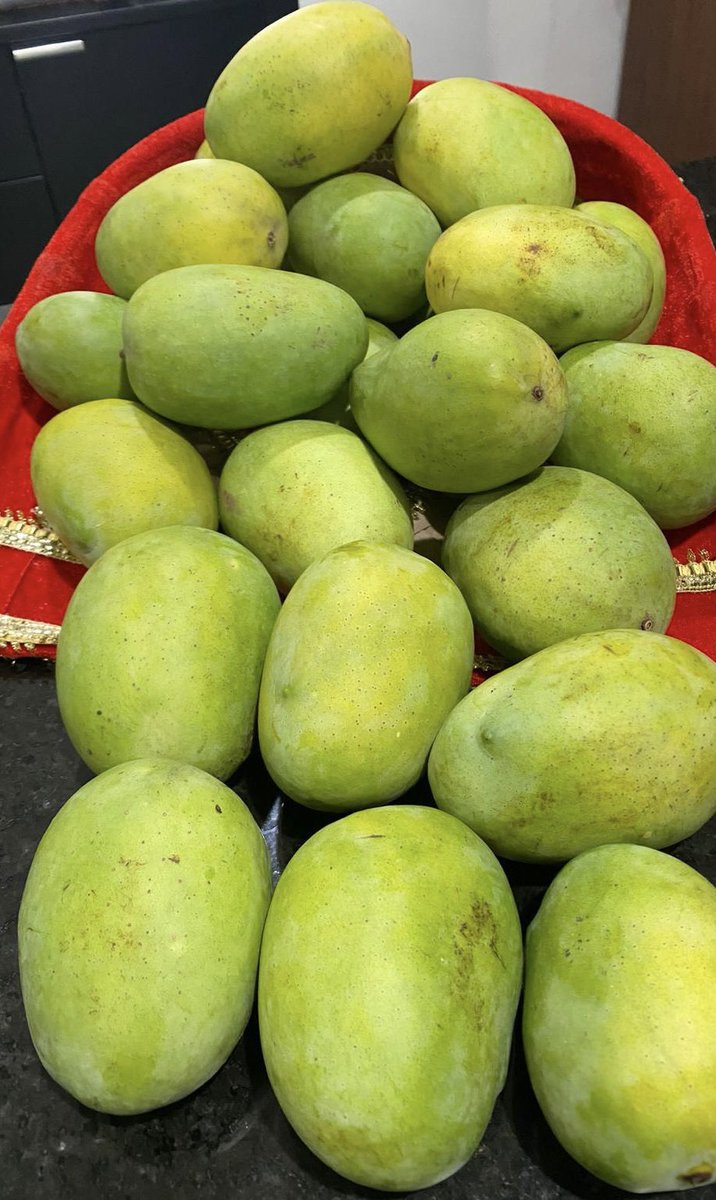 Bihar Foundation USA East Coast Chapter tweet media