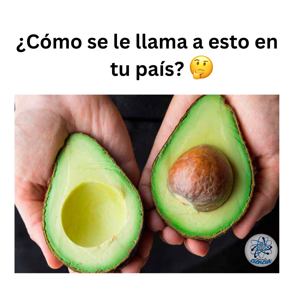 Resolvamos esto como personas maduras. 🤨
