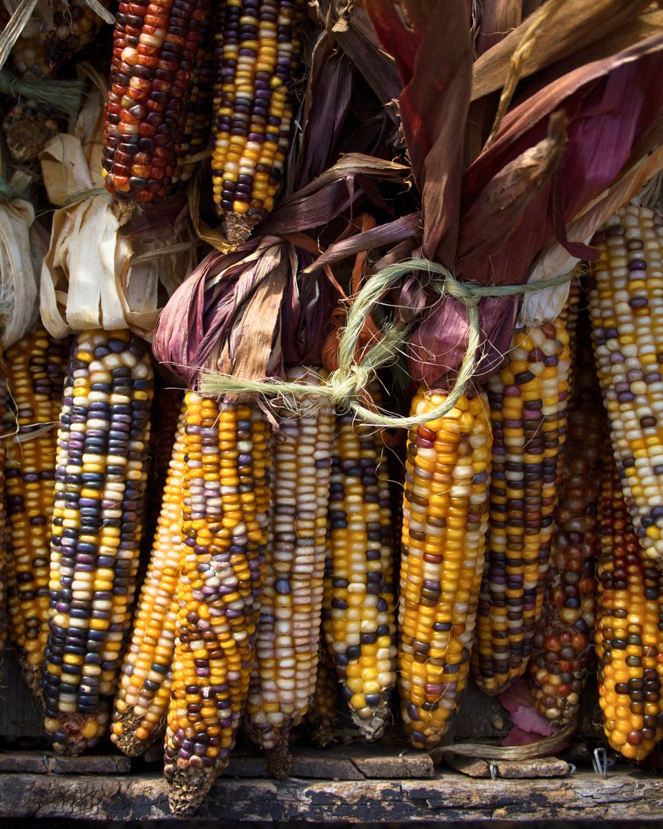 June 21st is National Indigenous Peoples Day. Join us in recognizing and celebrating the vibrant cultures and tremendous contributions of First Nations, Inuit, and Métis peoples.

Read more: shorturl.at/idoSH