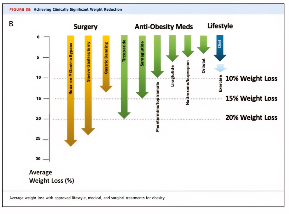 The Heart (@zheart11768530) on Twitter photo 🔴2025 Concise Clinical Guidance: An ACC Expert Consensus Statement on Medical Weight Management for Optimization of Cardiovascular Health:⤵️ #OpenAccess <a href="/ACCinTouch/">American College of Cardiology</a>
🔹jacc.org/doi/10.1016/j.…
#Cardiology #FOAMed #MedEd #medstudent #paramedic #Cardiology #CardioEd #medtwitter 🔴2025 Concise Clinical Guidance: An ACC Expert Consensus Statement on Medical Weight Management for Optimization of Cardiovascular Health:⤵️ #OpenAccess <a href="/ACCinTouch/">American College of Cardiology</a>
🔹jacc.org/doi/10.1016/j.…
#Cardiology #FOAMed #MedEd #medstudent #paramedic #Cardiology #CardioEd #medtwitter