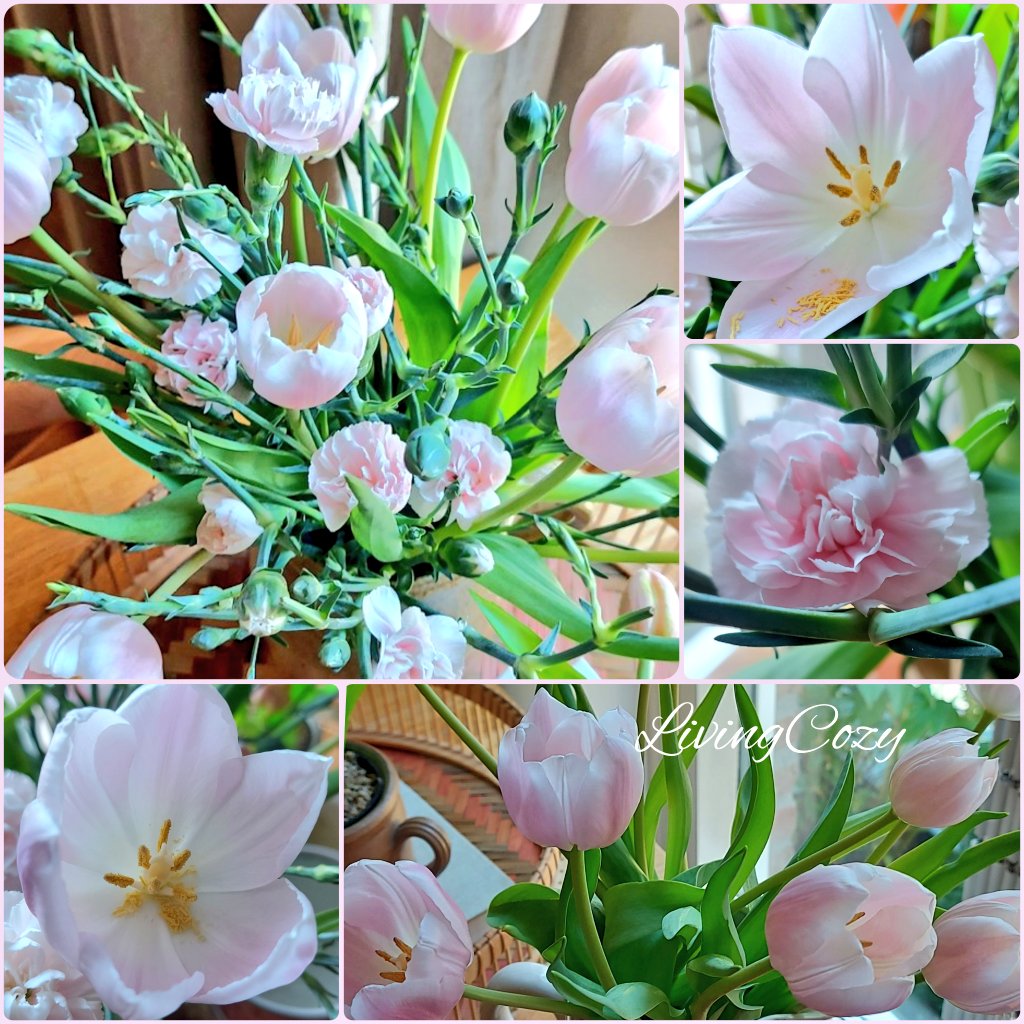 LivingCozy's tweet image. Thanks beautiful Spring for all your love, colors, flowers and blessings! 
🍃👼🩷🏡🩷👼🍃
📸 LivingCozyHome&amp;amp;Garden
#GoodByeSpring