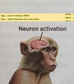 <a href="/xia_xenos/">xia xenos 💚🌐normal girl vtuber</a> I feel attacked