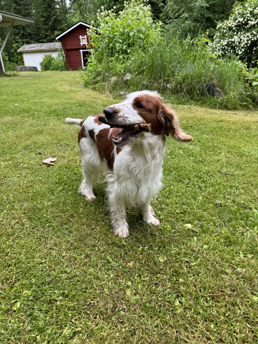 beatrice (& 🌈 benedick) tweet media