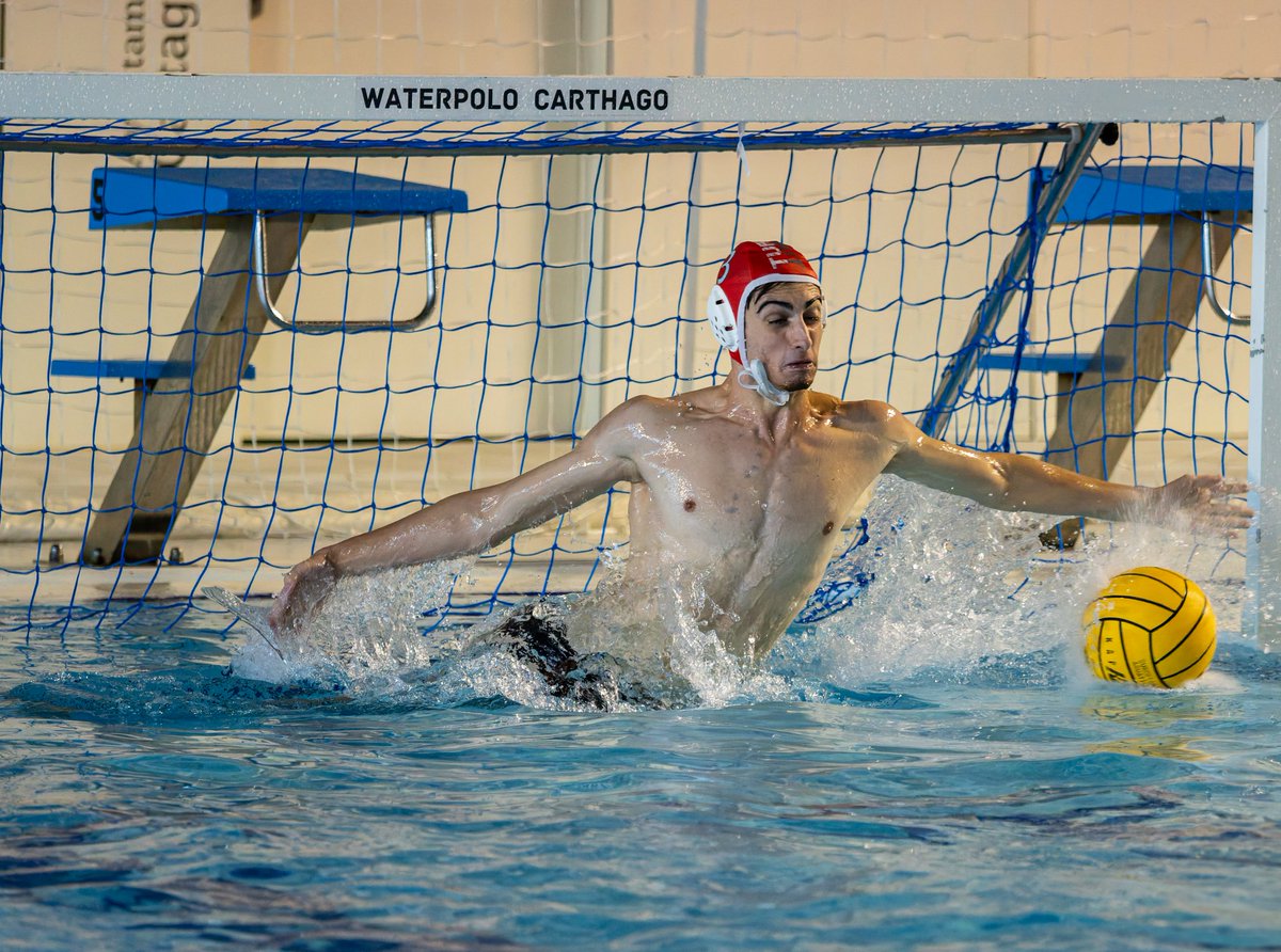 waterpoloturia tweet media