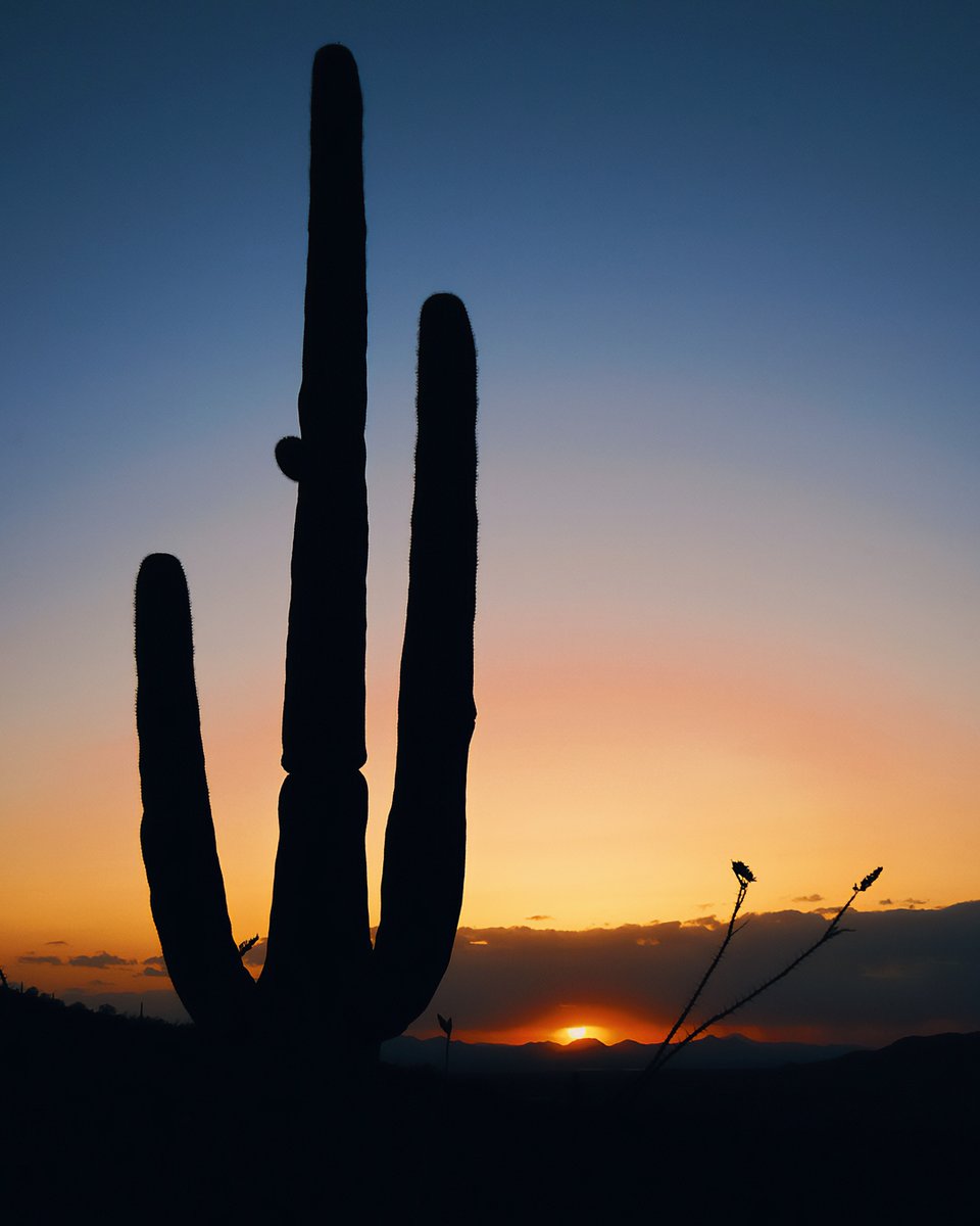 Summer solstice means sunsets that last longer than your ex’s rebound period. 

#📷: @madgriener