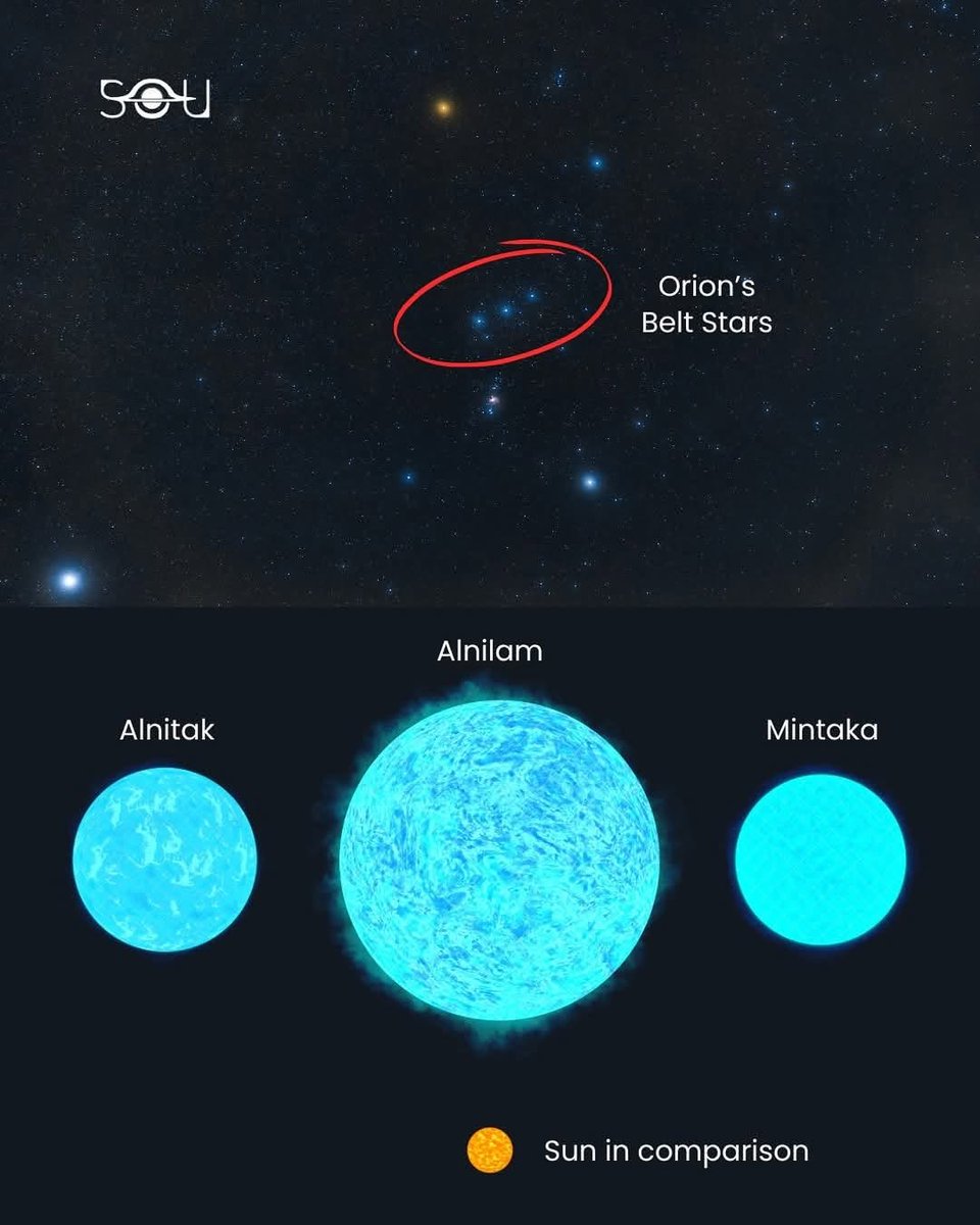 MAstronomers's tweet image. The true size of Orion’s Belt stars! 🤯