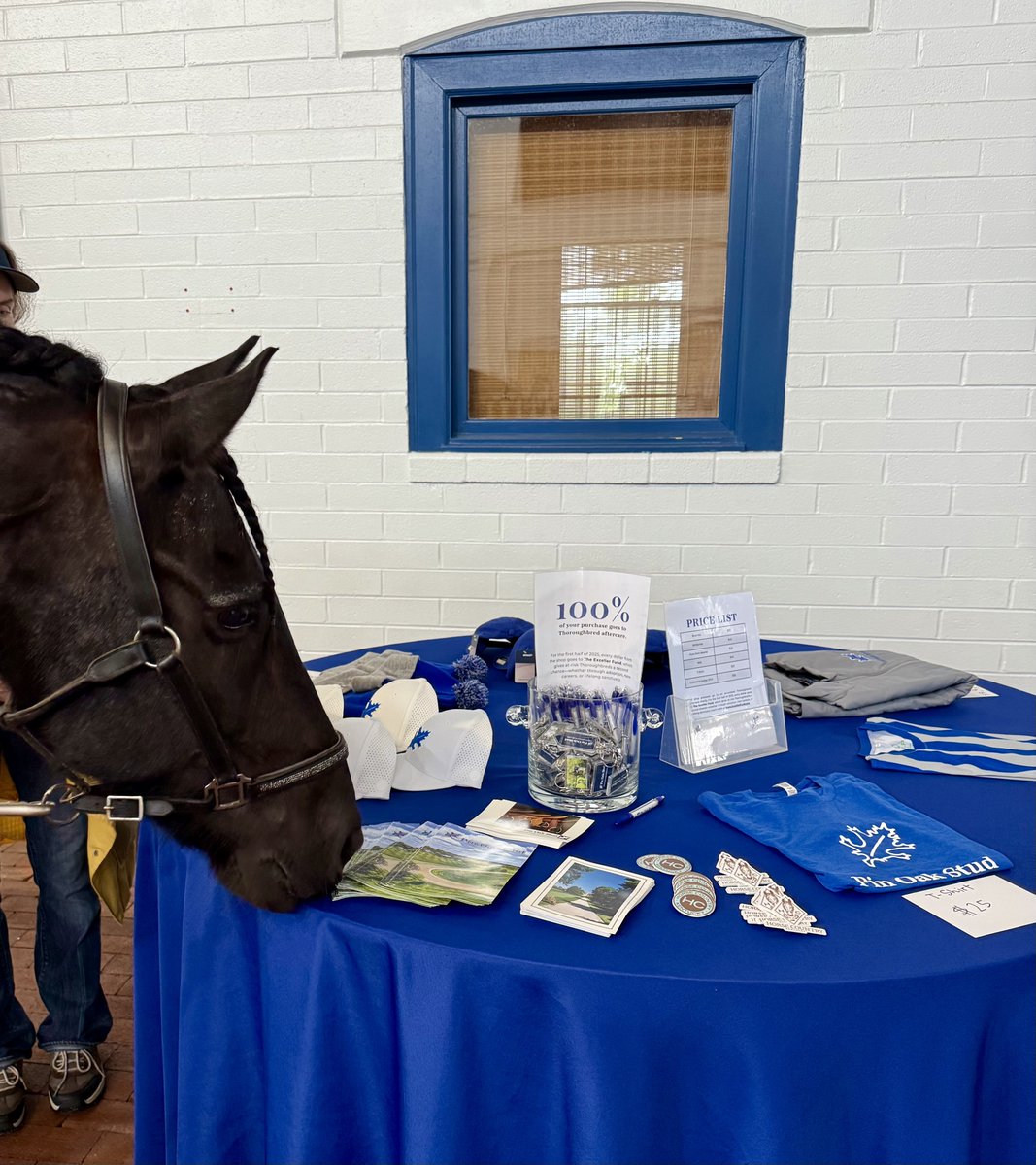 Pin Oak Stud (@pinoakstud) on Twitter photo π£ We need your help!
Every six months, we feature a different aftercare charity to receive 100% of the money from our online shop. As the first half of 2025 comes to an end, it's time for us to pick the next featured charity.
Our current featured charity is <a href="/ExcellerFund/">The Exceller Fund</a>. π£ We need your help!
Every six months, we feature a different aftercare charity to receive 100% of the money from our online shop. As the first half of 2025 comes to an end, it's time for us to pick the next featured charity.
Our current featured charity is <a href="/ExcellerFund/">The Exceller Fund</a>.