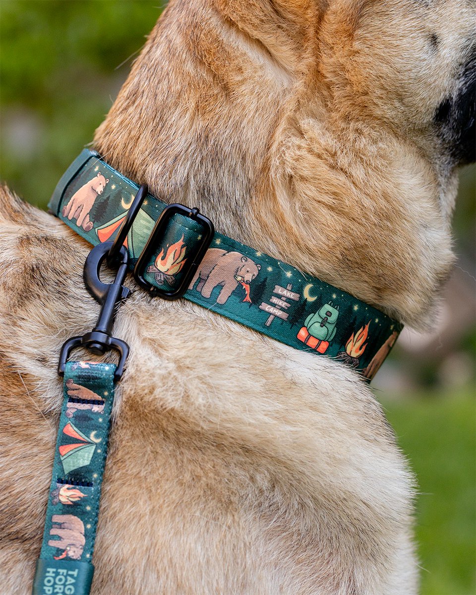 TagsforHope's tweet photo. Campfire crackles, forest strolls, and your pup in Bears &amp; Bonfires. 🐻⁠
Part of our Summer Collection — up to 20% off through June 22nd!

Shop Now!
https://t.co/ZbdqV02PNk https://t.co/4hiuiO6jqE