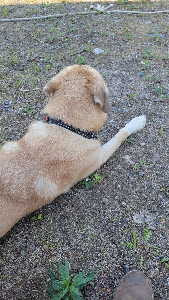 just a leper (@just_a_leper) on Twitter photo 