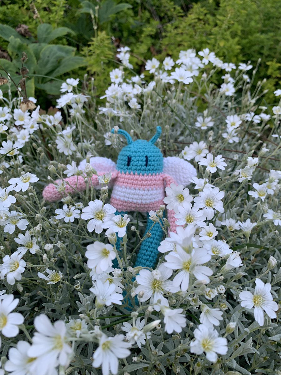 mitt🫧 tweet media