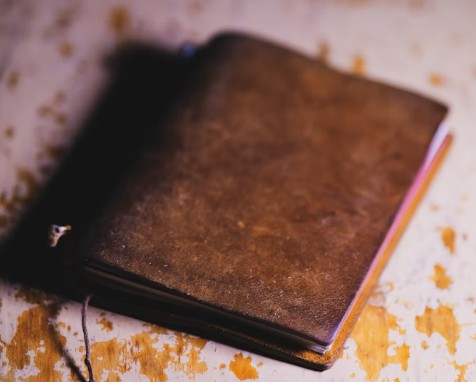 How about some Max Restaino for your slimeline... from our Burning House editorship!

burninghousepress.com/2025/06/20/int…