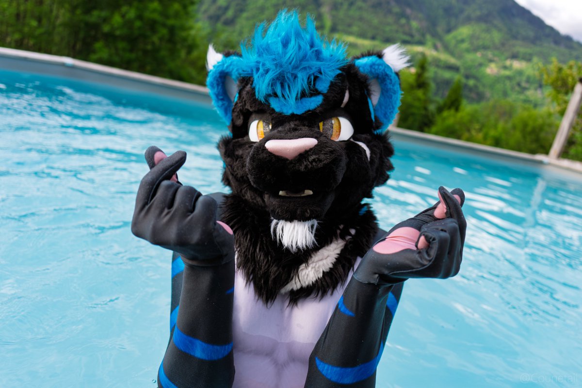 StormyPupCat's tweet image. 🫰🫰

#FursuitFriday
📷 @Counetail