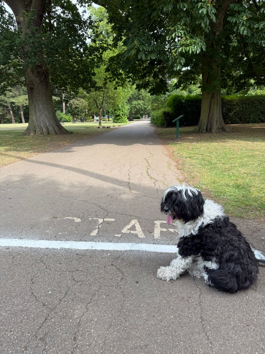 Day three of wheresfrancktoday it's another popular running circuit in Darlington and they do sell ice cream here as well?