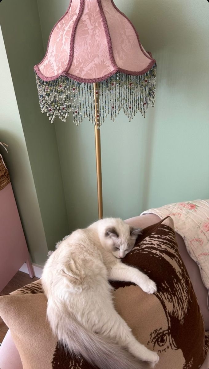 ETHEREALPRADA's tweet image. 🐱🩷