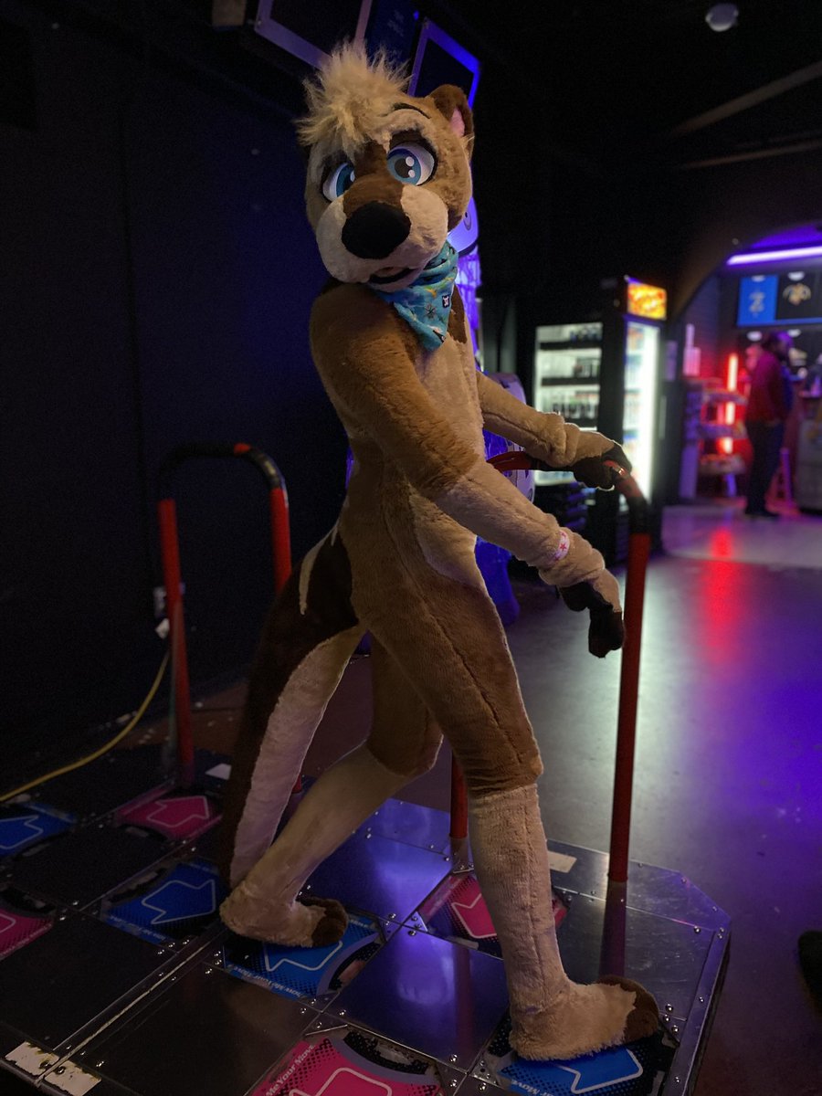 CuttleB0ne's tweet image. Rhythm Game furry roll-call! #FursuitFriday
(All suits made and worn by me 🪡)