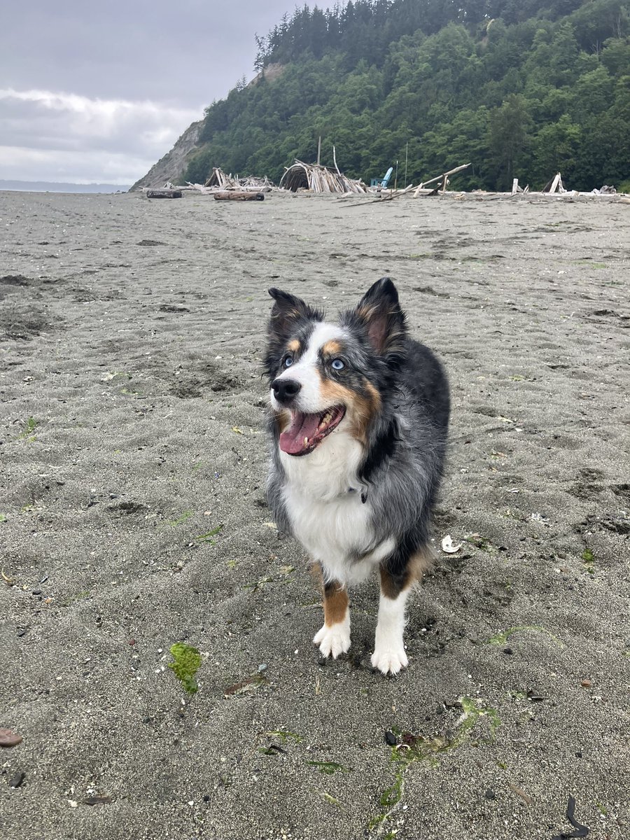 Keeper turns 11 today! Happy Birthday 🎂