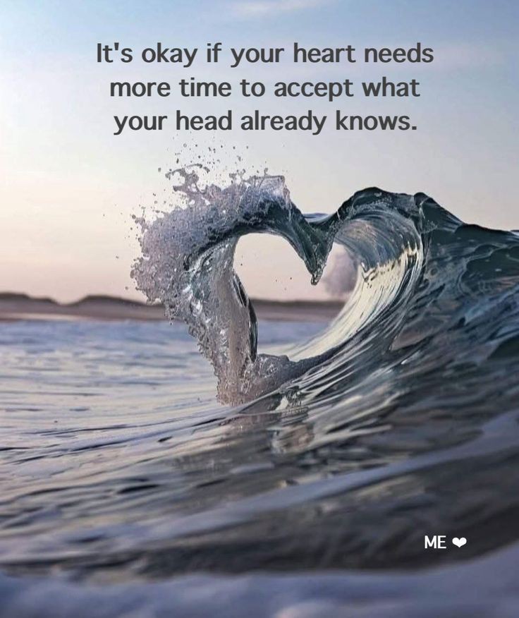 Zen masters (@zenm001) on Twitter photo 