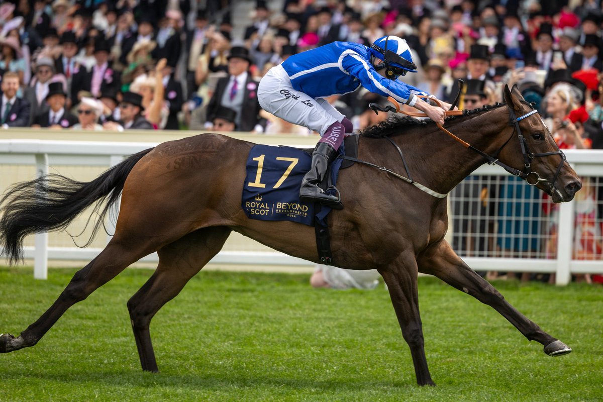 European Stallion Investment (@stallioninvest2) on Twitter photo Day 4 at Royal Ascot turned up the heat in the stallion market, with group races showcasing incredible promiseโfirst-crop winners stole the show!
๐ Starman โฌ10000 (Group 3) <a href="/TallyHoStud/">Roger O Callaghan</a>
๐ Sands of Mali (Private, ex-โฌ5000) (Group 1) <a href="/BallyhaneStud/">Ballyhane Stud</a>
๐ Awtaad โฌ7500 Day 4 at Royal Ascot turned up the heat in the stallion market, with group races showcasing incredible promiseโfirst-crop winners stole the show!
๐ Starman โฌ10000 (Group 3) <a href="/TallyHoStud/">Roger O Callaghan</a>
๐ Sands of Mali (Private, ex-โฌ5000) (Group 1) <a href="/BallyhaneStud/">Ballyhane Stud</a>
๐ Awtaad โฌ7500