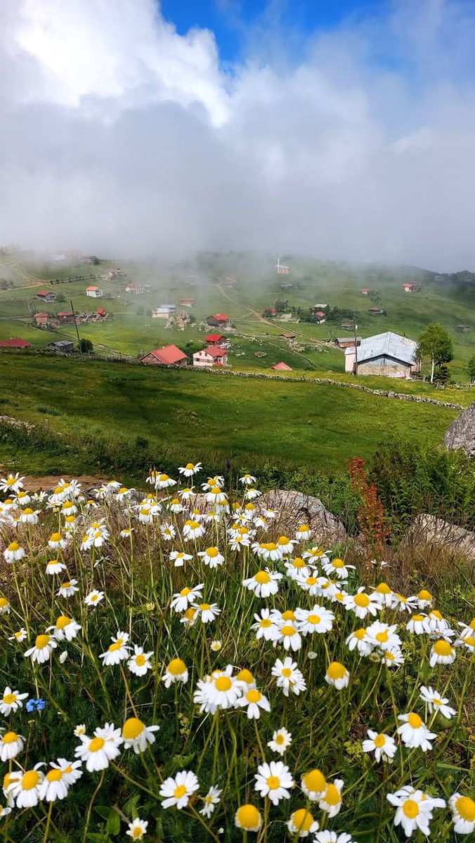 Varliginizda kiymetinizi bilmeyenleri yoklugunuzla terbiye edin... ✍️🐞