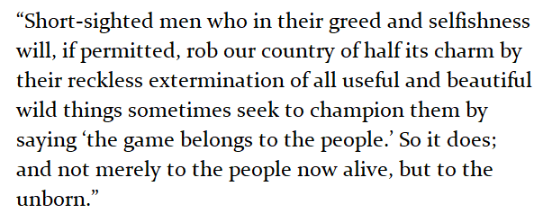 Teddy Roosevelt would like a word