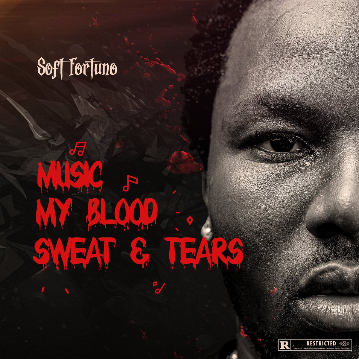 SoftFortuno's tweet photo. Music, My Blood, Sweat &amp; Tears is yours now. Thank you for listening &amp; sharing. I love you too!! 🤍💿 https://t.co/iVvlpvryKf