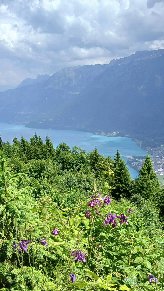 GANDJOEY's tweet photo. Fantastic family holiday in the very beautiful Switzerland 🇨🇭 https://t.co/F1jgyFBTtP